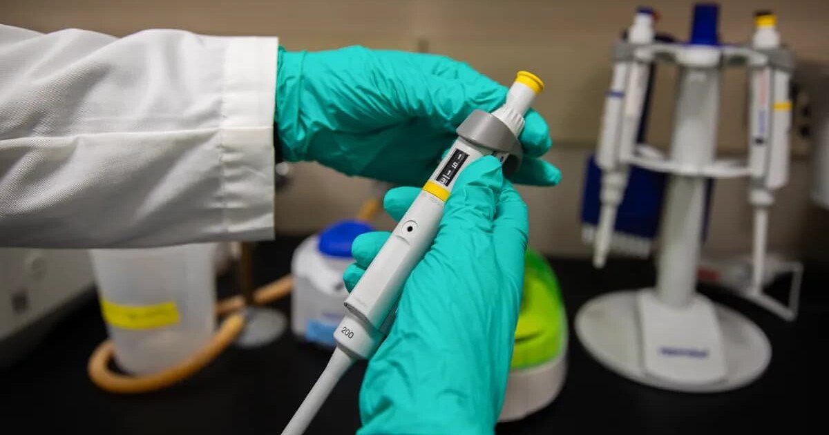 Read more about the article White House admits it used keywords to kill billions worth of California research grants