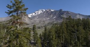 Read more about the article Father-son duo kidnapped U.S. Forest Service workers, held them hostage, feds say