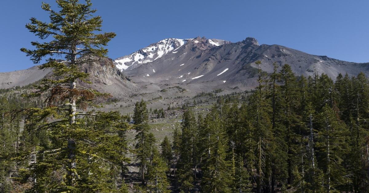 Read more about the article Father-son duo kidnapped U.S. Forest Service workers, held them hostage, feds say