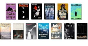 Read more about the article Here are the 13 books that made the Booker Prize longlist