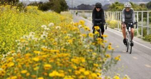 Read more about the article What to do and where to go on a second date in Los Angeles