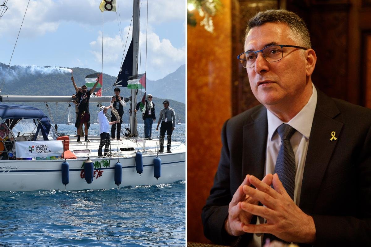 Read more about the article Gaza flotilla operated by Hamas and Muslim Brotherhood via shell companies: Israeli FM