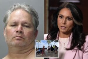 Read more about the article Tulsi Gabbard’s brother accused of trying to lure children to Hawaii hotel room: police