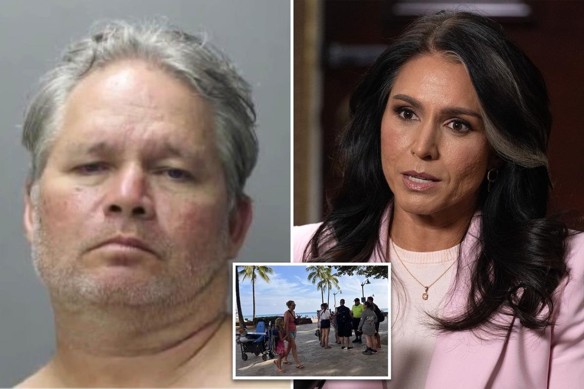 Read more about the article Tulsi Gabbard’s brother accused of trying to lure children to Hawaii hotel room: police