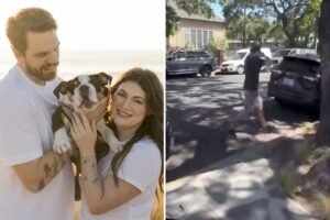 Read more about the article Santa Barbara’s Camp Canine allegedly hands California couple their beloved puppy back in a tub