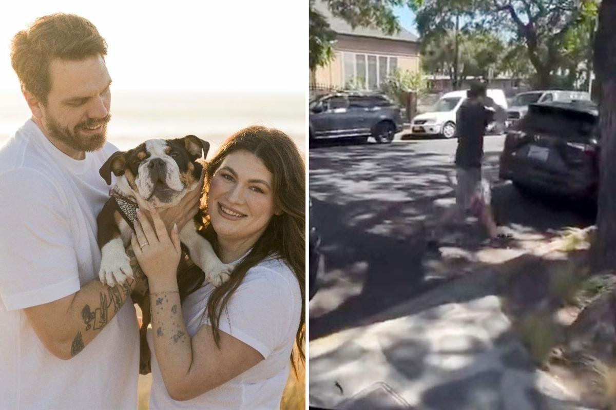 Read more about the article Santa Barbara’s Camp Canine allegedly hands California couple their beloved puppy back in a tub