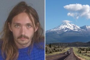 Read more about the article Wild audio from hostage crisis involving two US Forest Service workers in California