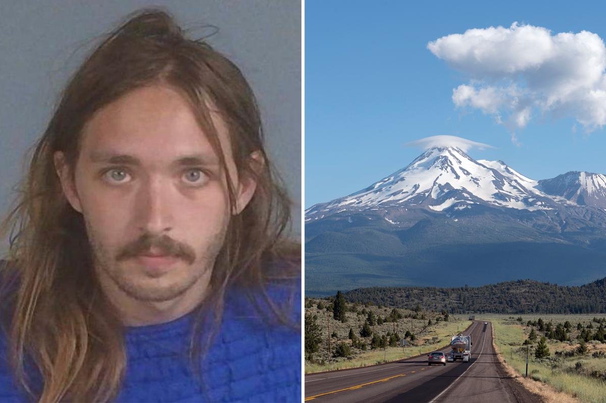 Read more about the article Wild audio from hostage crisis involving two US Forest Service workers in California