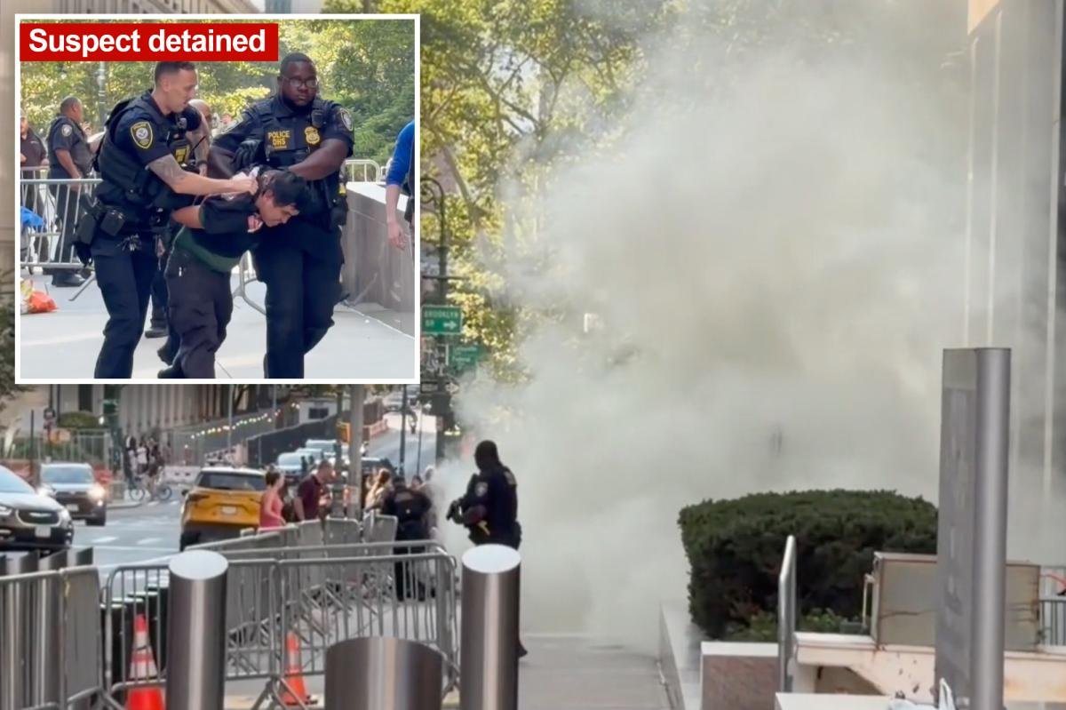 Read more about the article Terrorism task force probes armed loon who set off ‘incendiary device’ outside NYC fed HQ