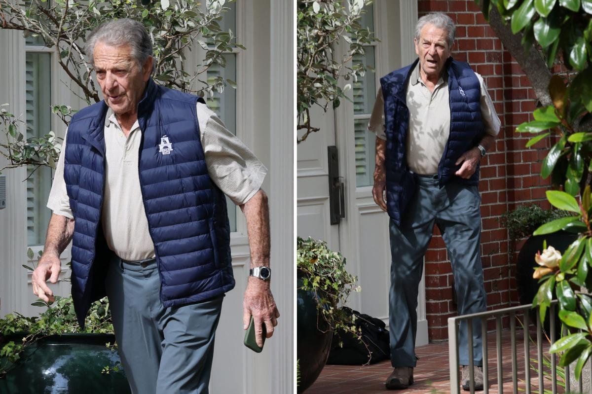Read more about the article Nancy Pelosi’s husband Paul breaks cover for the first time since being charged over latest hit-and-run crash