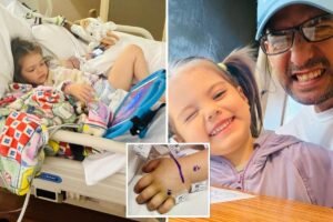 Read more about the article Father’s terrifying warning as 3-year-old is bitten by rattlesnake lurking under Amazon package
