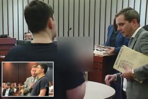 Read more about the article Michigan man accused of trying to 2 kidnap two girls allegedly flipped off their families in court: reports