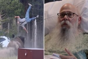 Read more about the article Grandpa tossed 8 feet into air by Yellowstone bison speaks of ordeal from his hospital bed