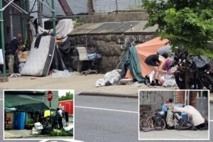 Read more about the article Stubborn vagrants at NYC’s Intrepid encampments set up new shelters in game of cleanup Whack-a-Mole