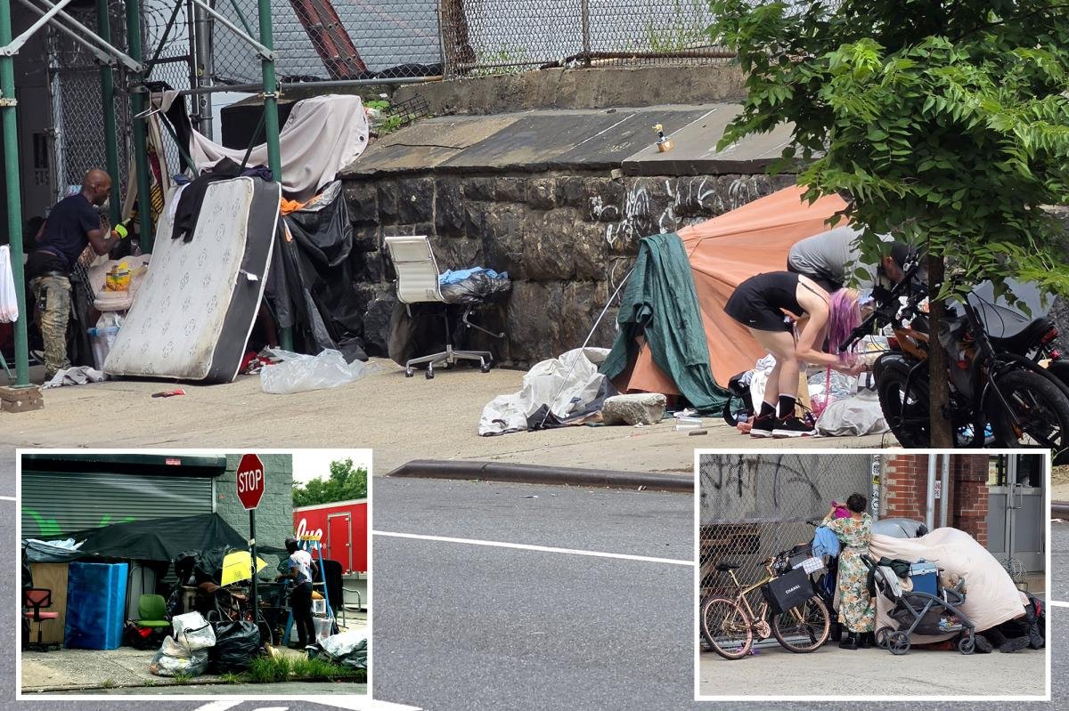 Read more about the article Stubborn vagrants at NYC’s Intrepid encampments set up new shelters in game of cleanup Whack-a-Mole