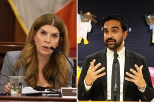 Read more about the article NYC Council Speaker Menin’s bill takes Mamdani to task over Legionnaires’ outbreak