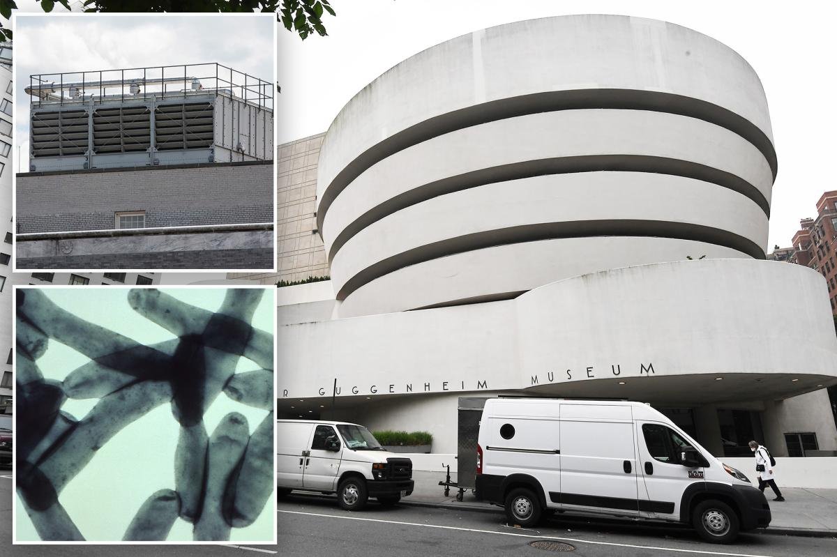 You are currently viewing Fifth person dies in Legionnairesâ disease outbreak in NYC