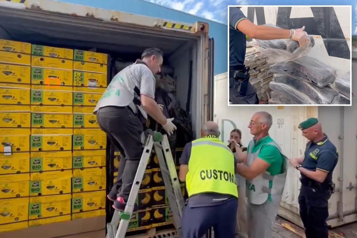 You are currently viewing $290M cocaine haul found âskillfully concealedâ in massive banana shipment