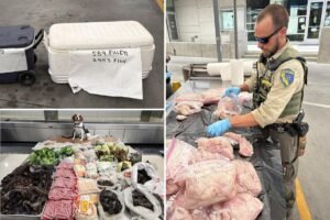 Read more about the article Cops make wild discovery inside LAX suitcase coming from Thailand