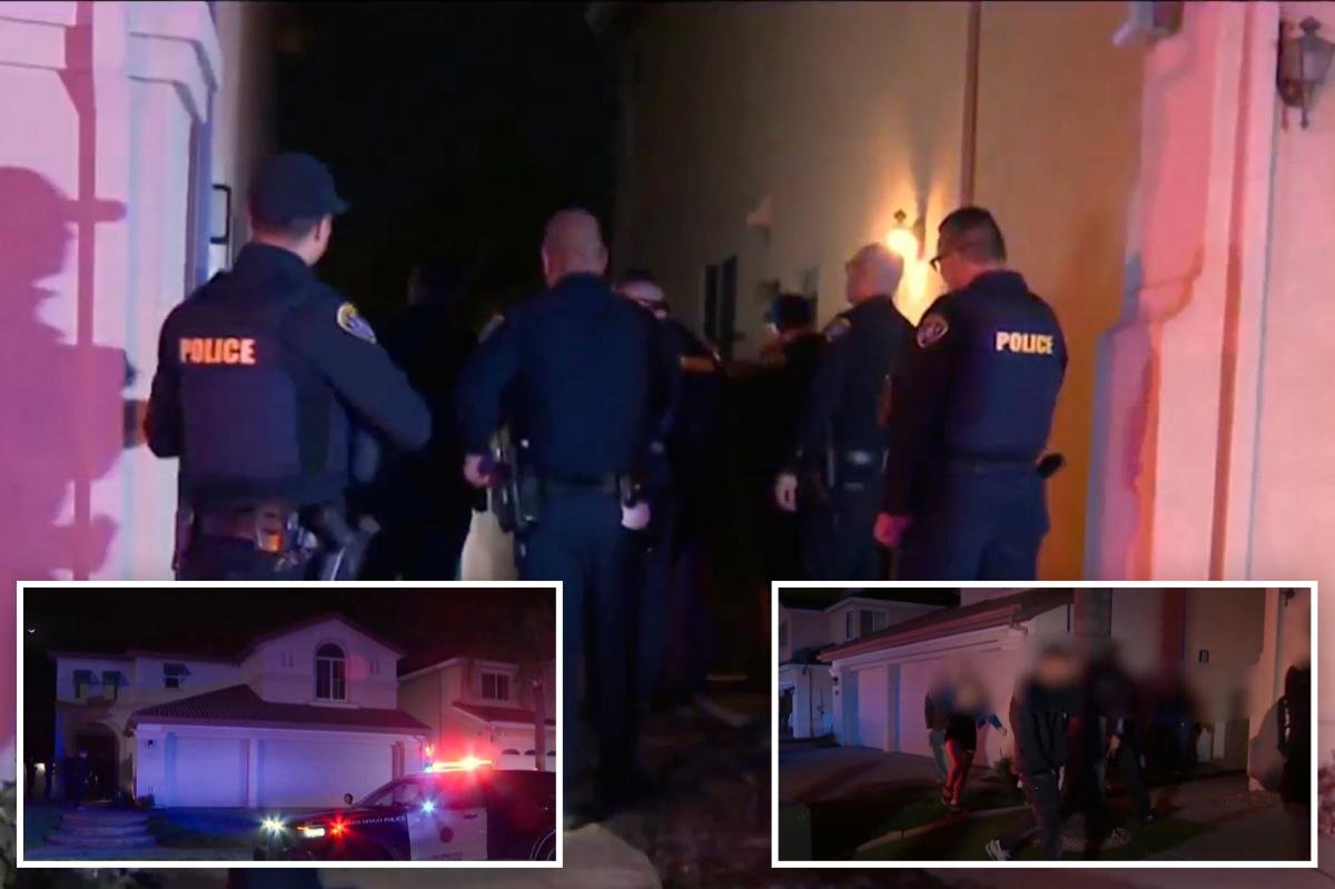 Read more about the article Wild teen parties spark panic in San Diego as mansions broken into and destroyed in insane videos