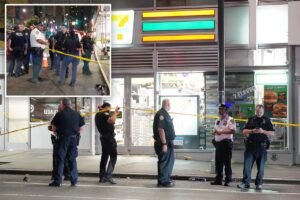 Read more about the article 2 men stabbed during fight with stranger blocks from Times Square: cops, sources