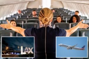 Read more about the article Oppressive new ranking for flight attendants hits turbulence in California