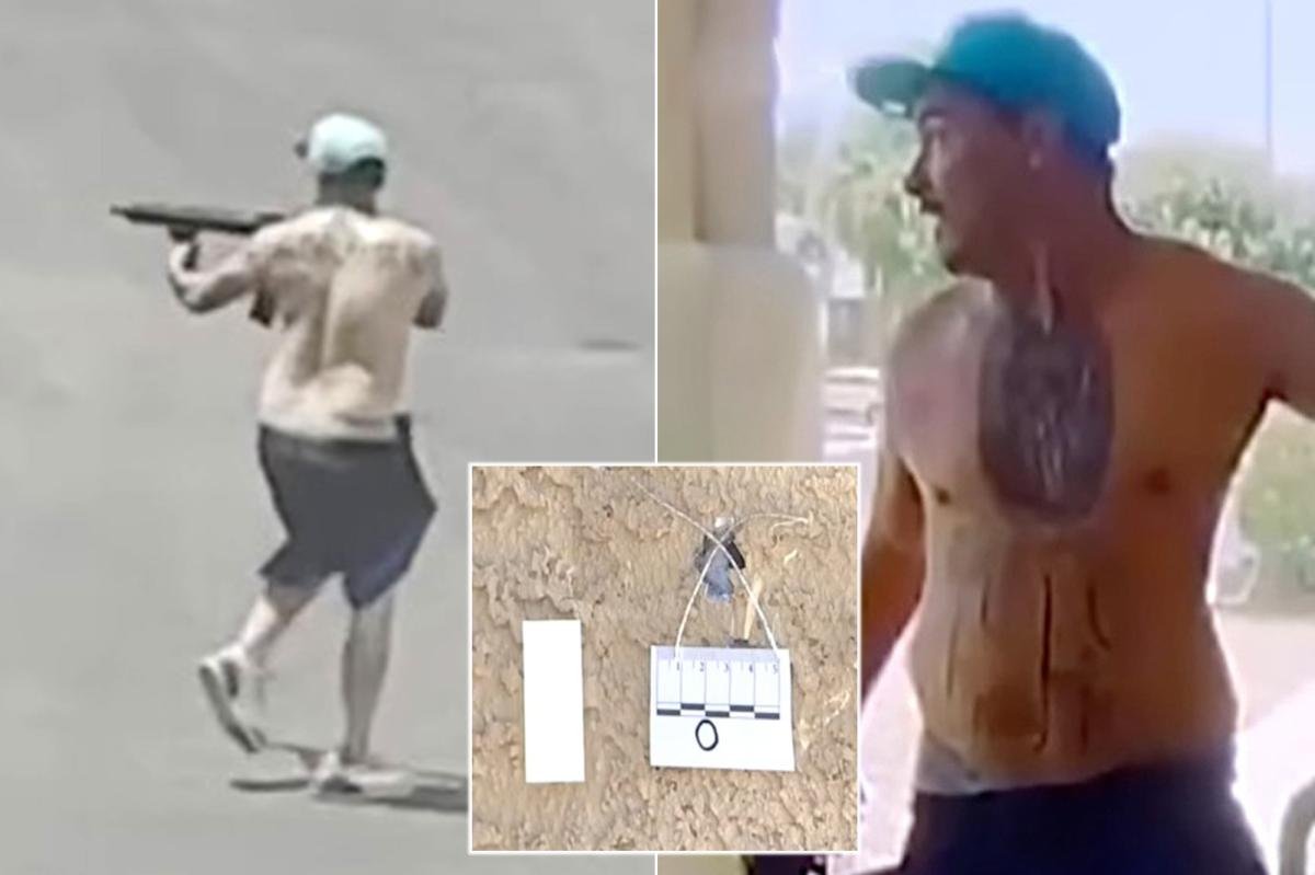 Read more about the article Terrifying moment shirtless gunman armed with AR-15 stalks suburban neighborhood firing random shots