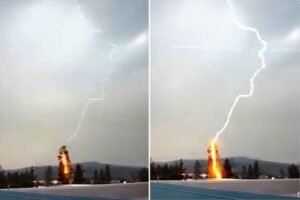 Read more about the article Powerful storm sees 2,000 lightning strikes spark 35 wildfires in just hours on West Coast