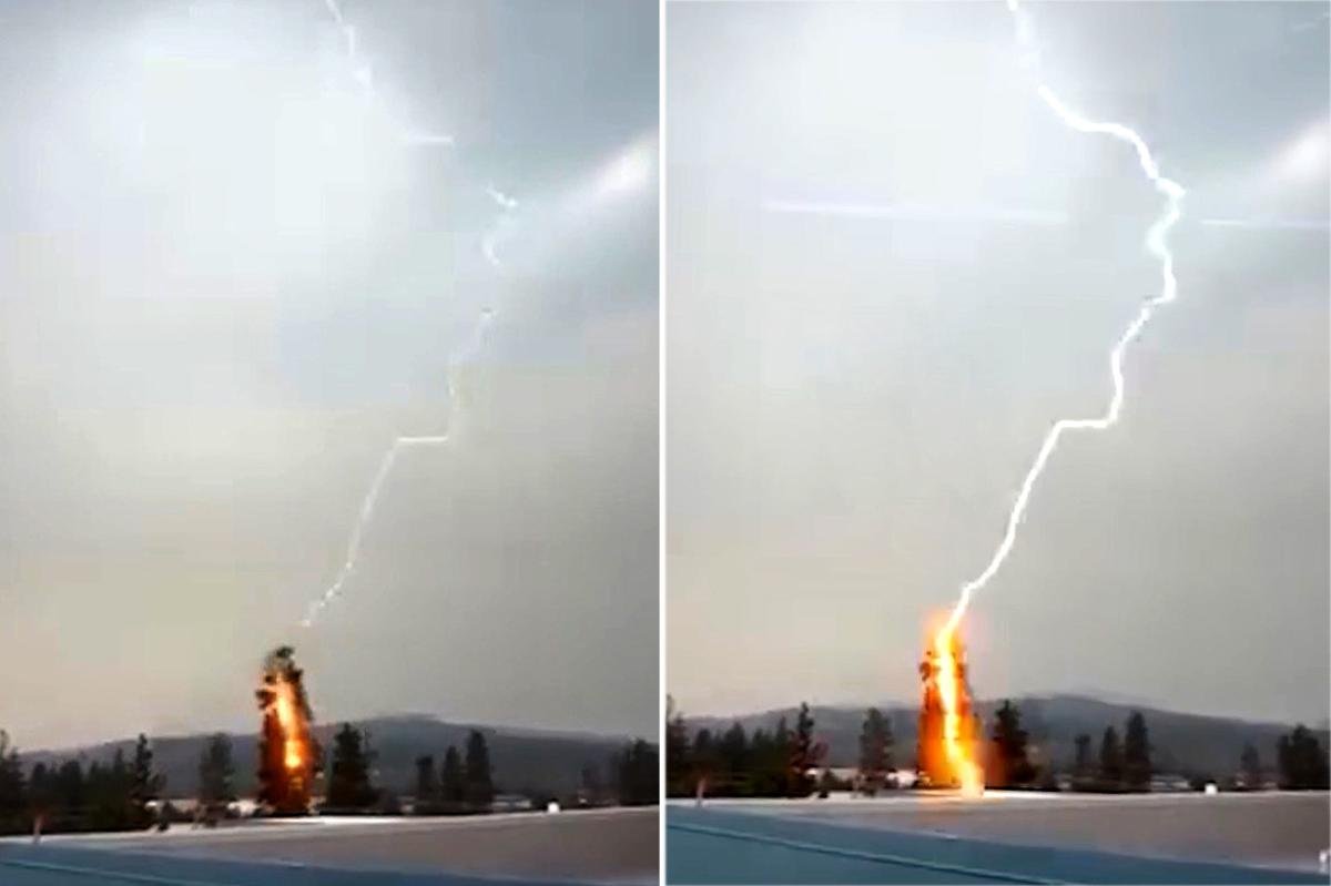 Read more about the article Powerful storm sees 2,000 lightning strikes spark 35 wildfires in just hours on West Coast