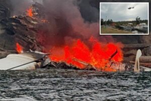 Read more about the article Plane with 11 on board bursts into flames after crash-landing off Washington island
