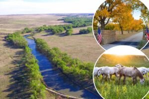 Read more about the article Sprawling $128M ranch stretching across 2 states sells days after listing
