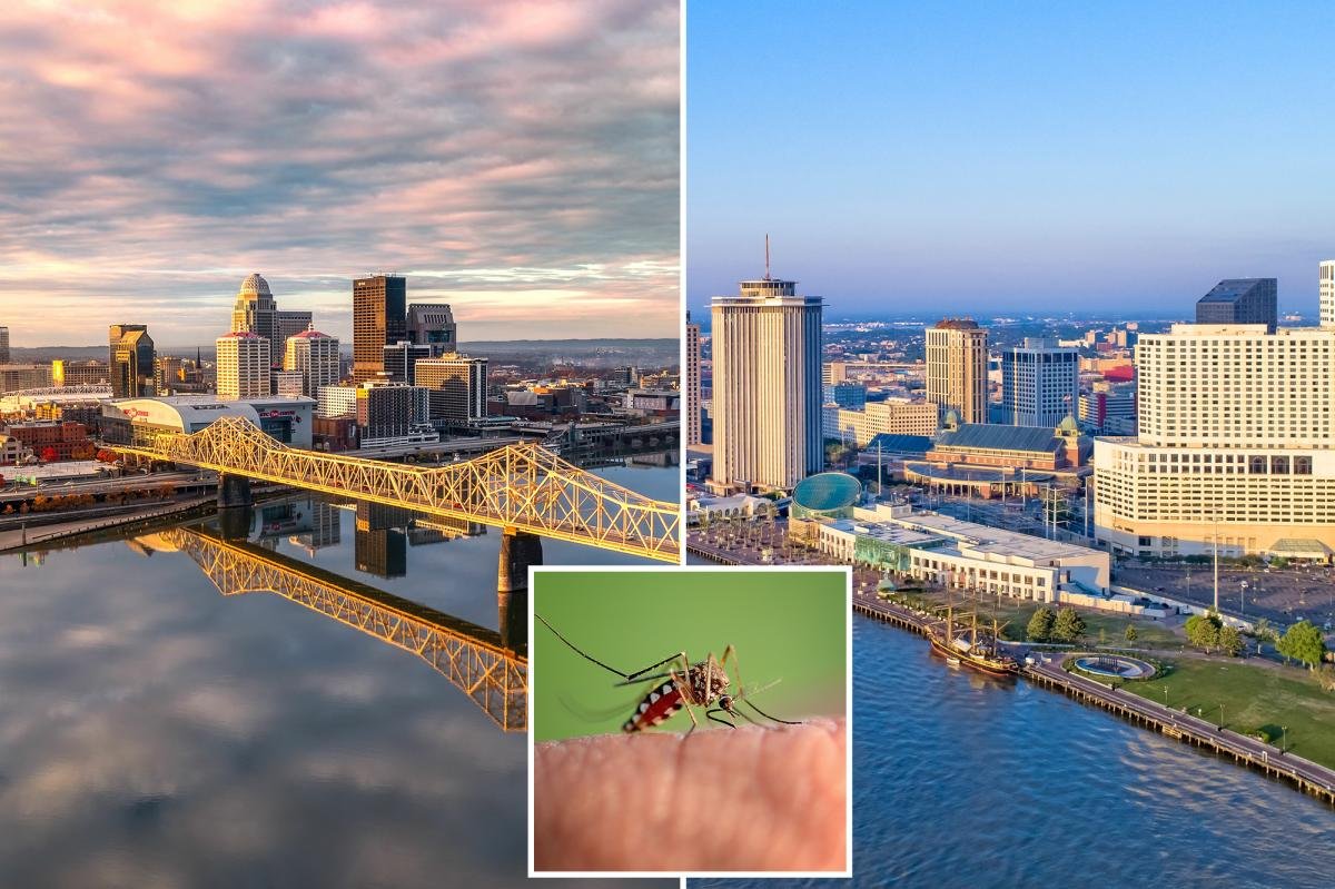 You are currently viewing Top 10 worst states for battling mosquitoes thanks to heat and humidity