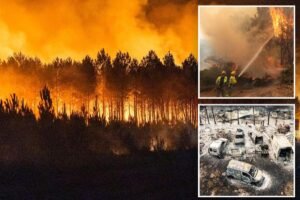 Read more about the article Over 250,000 people forced to flee homes as France and Spain battle raging wildfires