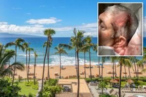 Read more about the article California family left in a pool of blood after horrific ‘anti-white’ attack at exclusive Hawaii resort