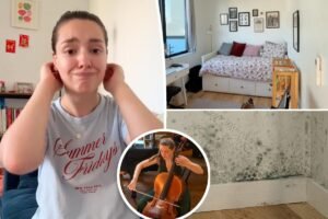 Read more about the article Julliard graduate finds dream Manhattan penthouse, then faces mold and missing mail