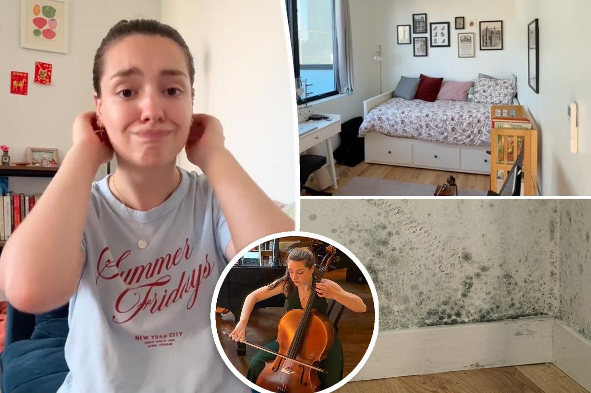 You are currently viewing Julliard graduate finds dream Manhattan penthouse, then faces mold and missing mail