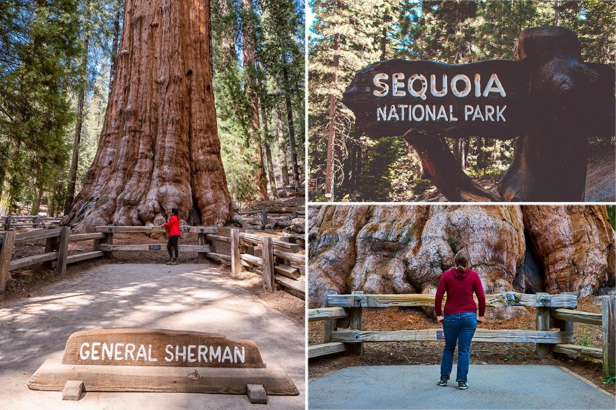 You are currently viewing Horror as tourist dies on popular trail in Sequoia National Park