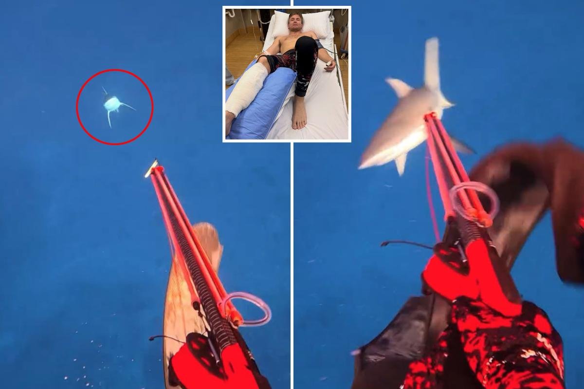 You are currently viewing Influencer films shark almost biting off his leg —then shares amazing message about it