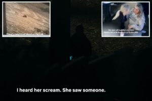 Read more about the article Distressing footage captures moment cops found dead University of Idaho students – as Bryan Kohberger demands trial