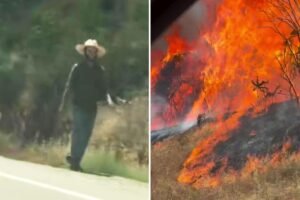 Read more about the article Haunting video of ‘the man in the straw hat’ as Dove Fire threatens ‘the gateway to Yosemite’