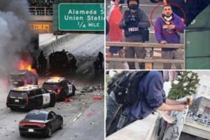 Read more about the article Anti-ICE rioter learns fate for attacking police during violent LA protests