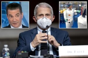 Read more about the article Ex-FDA commissioner confronted on ‘outrageous’ Fauci diaries by CNBC host