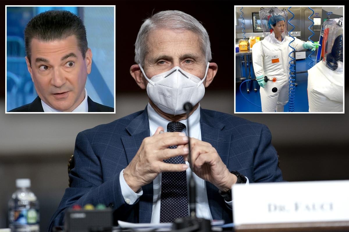 Read more about the article Ex-FDA commissioner confronted on ‘outrageous’ Fauci diaries by CNBC host