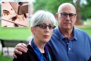 Read more about the article eBay agreed to pay nearly $50M to couple who were sent cockroaches, bloody pig mask from ex-employees