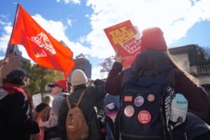 Read more about the article Our incredibly stupid, highly-educated, kid-fearing socialists