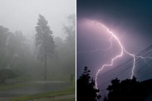 Read more about the article NJ man, 32, struck and killed by lightning as severe storms rolled through area
