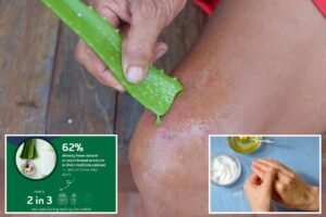 Read more about the article People prefer natural ingredients you can find in your home, remedies in first aid products: survey