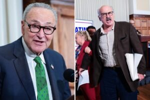 Read more about the article ‘Journalist’ heckles Chuck Schumer during anti-corruption bureau event: ‘Show your genocidal face’