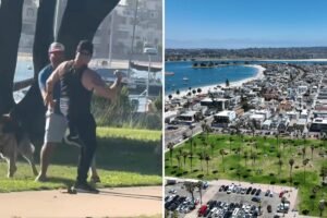 Read more about the article Fists fly as two men and their dogs brawl at popular San Diego tourist destination in wild video