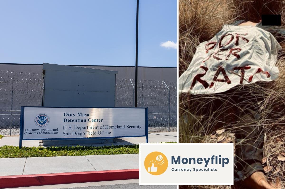 You are currently viewing California CEO entangled in cross-border hitman plot — as chilling crime scene images emerge